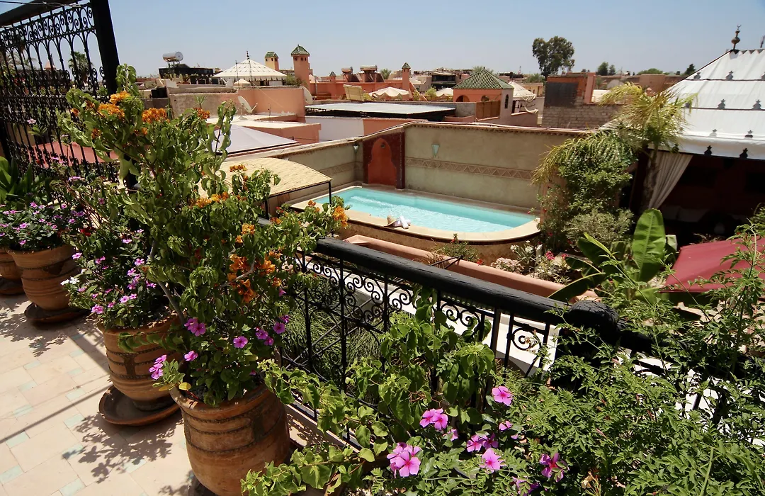 Riad Jona-1